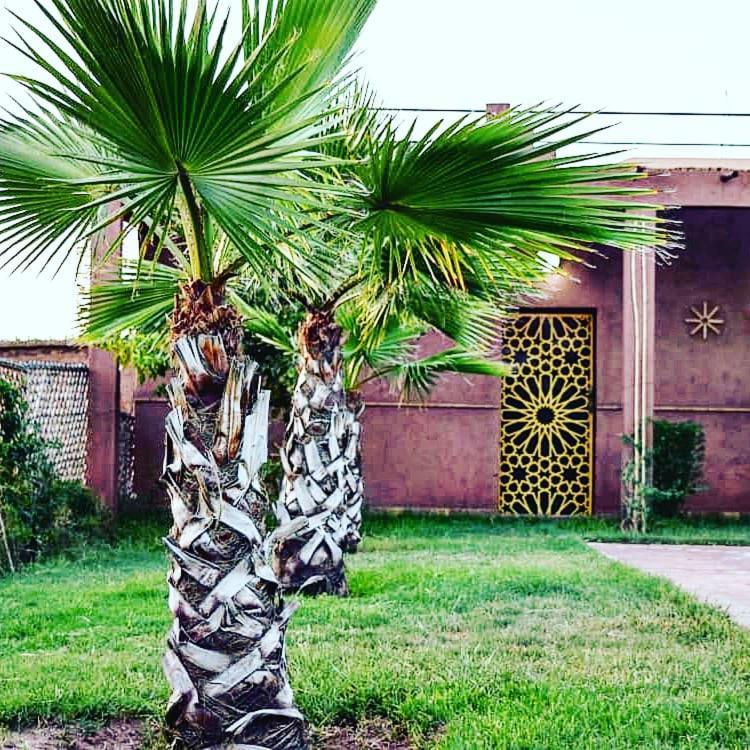 Riad Darga Rouge Ouled Bouzid Exteriör bild